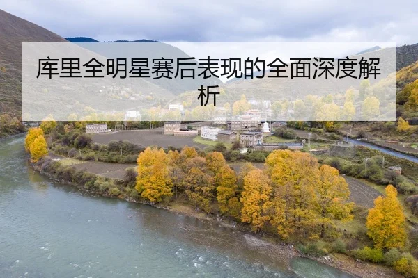 库里全明星赛后表现的全面深度解析